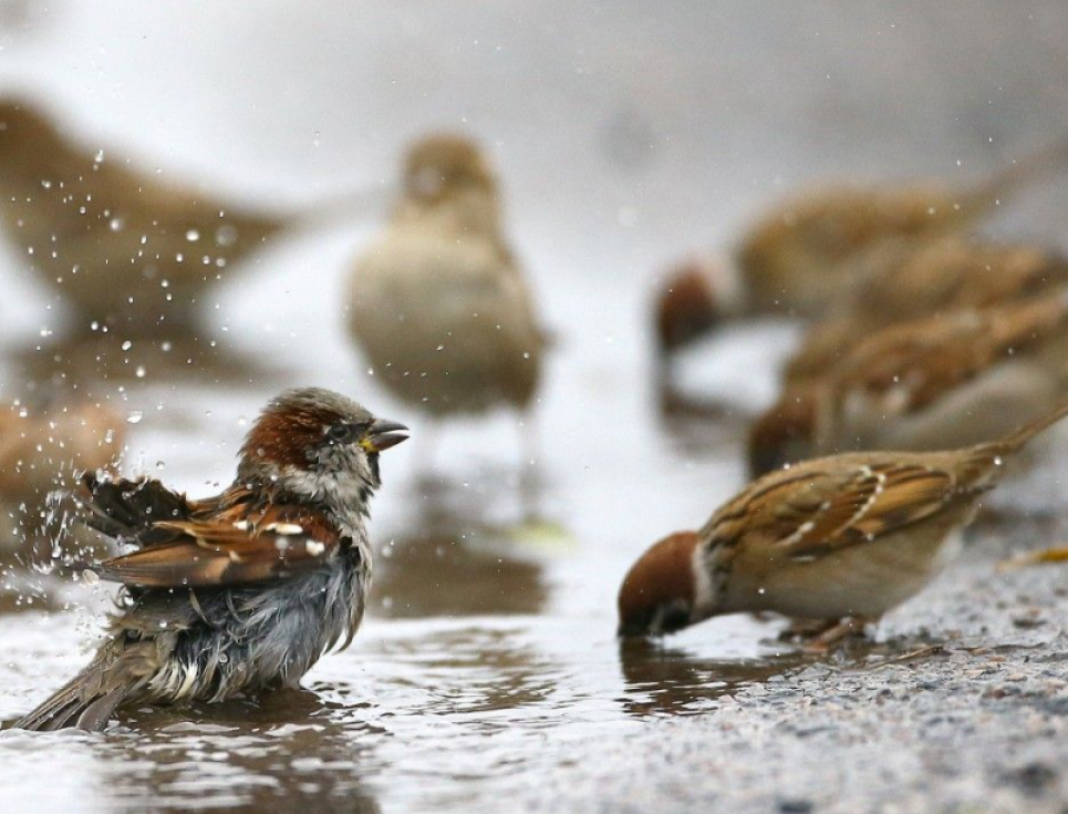 ФОТО: иллюстративное