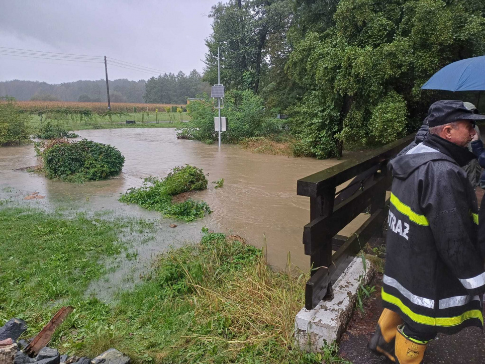Сильні повені охопили Європу: стасовано низку рейсів, закрито пункти пропуску Сильні повені охопили Європу.
Фото trueua.info