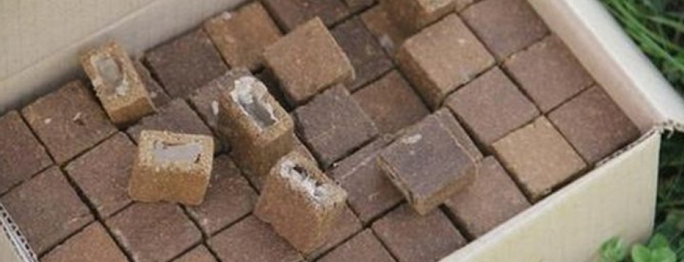В Украине продолжается масштабная осенняя кампания по вакцинации диких животных против бешенства В Украине продолжается масштабная осенняя кампания по вакцинации