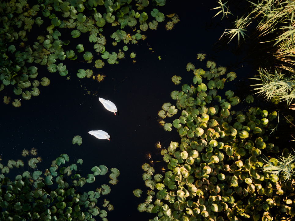 Порушення директив ЄС, вимушене переселення та екологічні ризики: будівництво гідроелектростанції Турну-Мегуреле Фото: Raed Krishan_Garla Mare