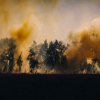 ФОТО: иллюстративное