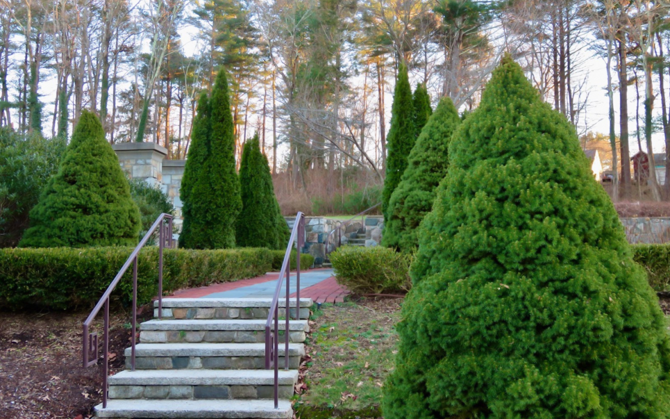 Фаворит у садівників — ялина Коніка: вражає своєю симетрією та насиченим кольором Фото з відкритих джерел