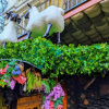 Гороскоп на 11 жовтня 2024 року