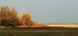 ФОТО: Ботанічний заказник Малопереще́пинський (Полтавщина)