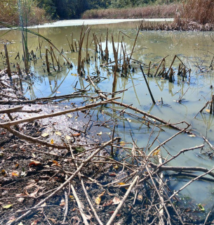 ФОТО: Водойми поблизу заповідника "Дніпровсько-Орільський"