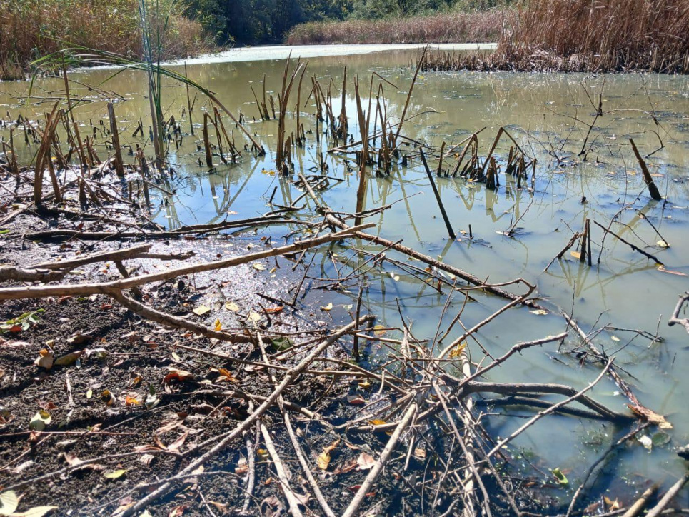 Фото: водойми поблизу заповідника "Дніпровсько-Орільський"