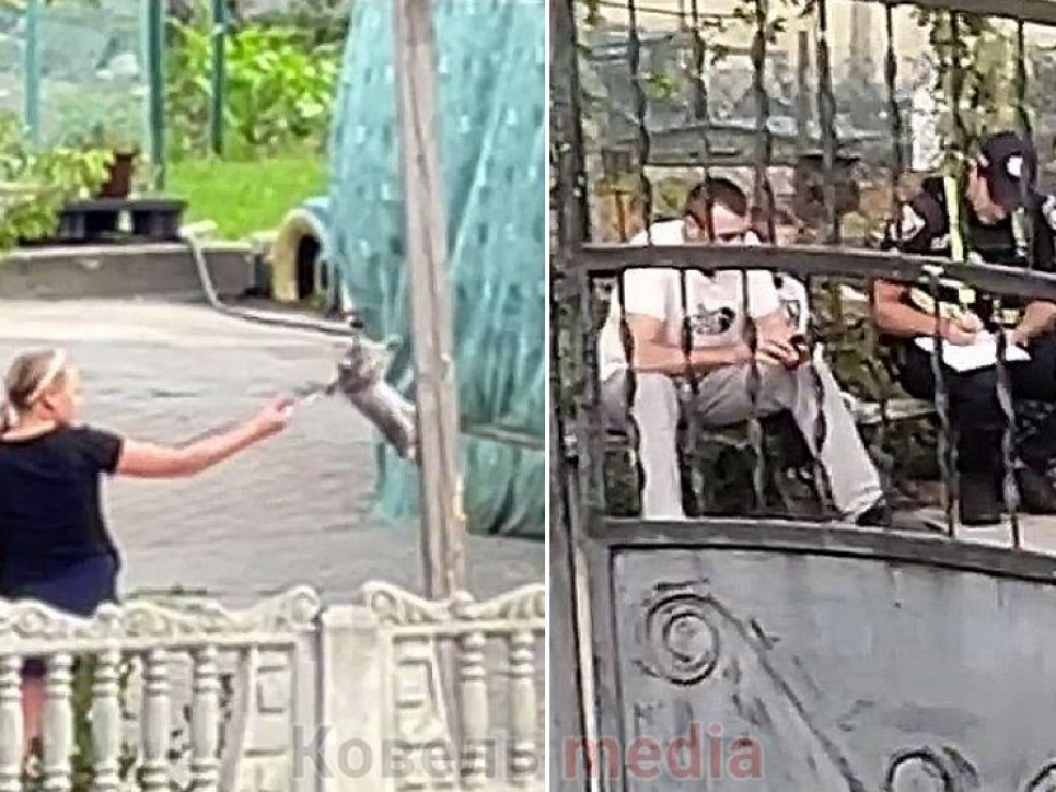Родителей девочки, которая издевалась над котом наказали (ФОТО) Издевались над кошкой