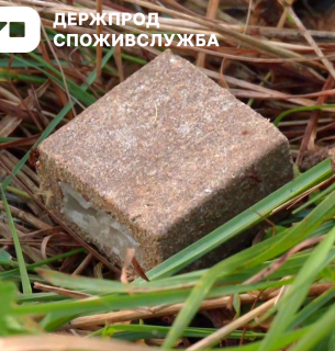 В Україні триває масштабна осіння кампанія з вакцинації диких тварин проти сказу В Україні триває масштабна осіння кампанія з вакцинації диких тварин проти сказу