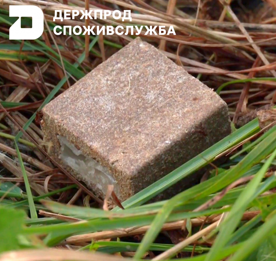 В Україні триває масштабна осіння кампанія з вакцинації диких тварин проти сказу В Україні триває масштабна осіння кампанія з вакцинації диких тварин проти сказу