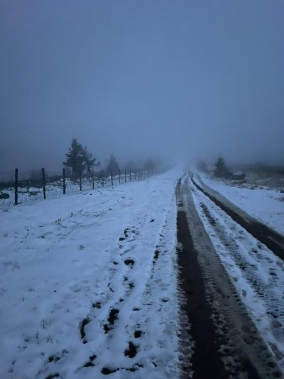 На Закарпатті на кордоні з Румунією випав сніг (ФОТО) На кордоні з Румунією випав сніг