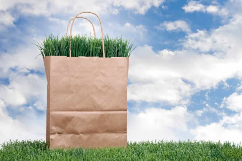 Європейський День паперового пакету (European Paper Bag Day) 18 жовтня