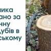 Нарубав дубів на десятки тисяч гривен