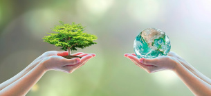 Важливе для сфери захисту довкілля: підсумки в цифрах і фактах щодо промислового забруднення Важливі події для сфери захисту довкілля.
Фото vrciro