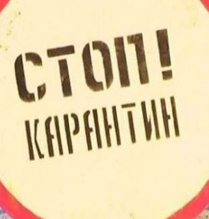 Через сказ 20 населених пунктів Чернігівщини в зоні карантину