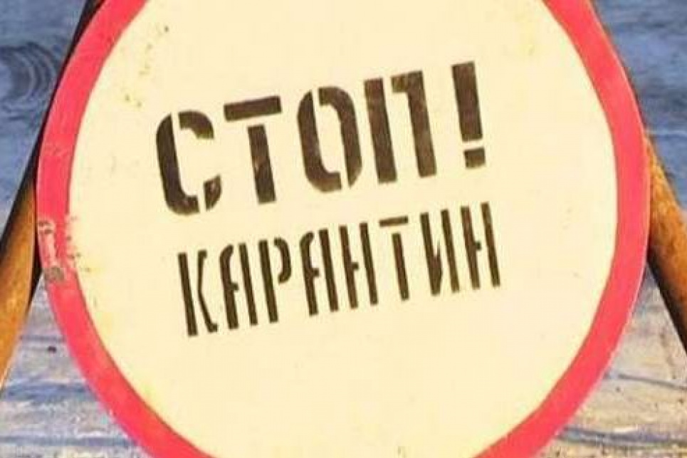 Через сказ 20 населених пунктів Чернігівщини в зоні карантину