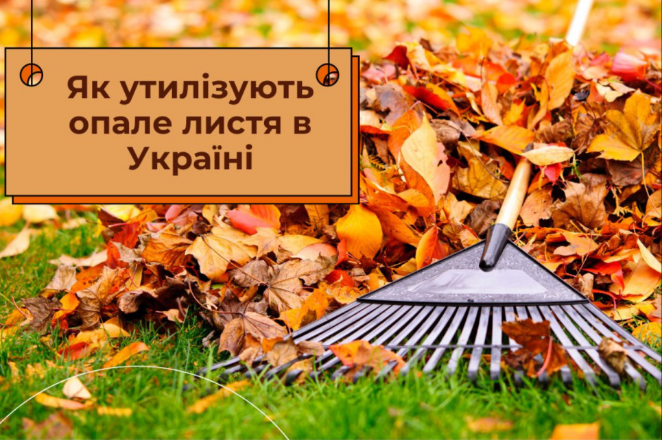 Українські міста запроваджують екологічні методи утилізації опалого листя ФОТО: Утилізація опалого листя / EcologicalNews
