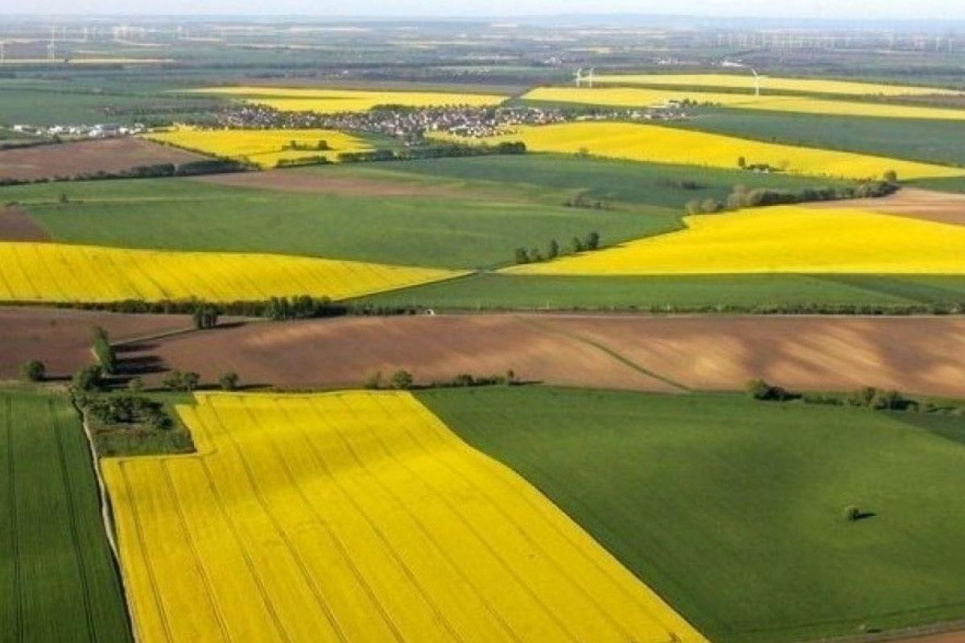 Строк оформлення невитребуваних паїв продовжили до 2028 року ФОТО: ілюстративне