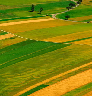 ФОТО: земельні наділи / agropolit.com