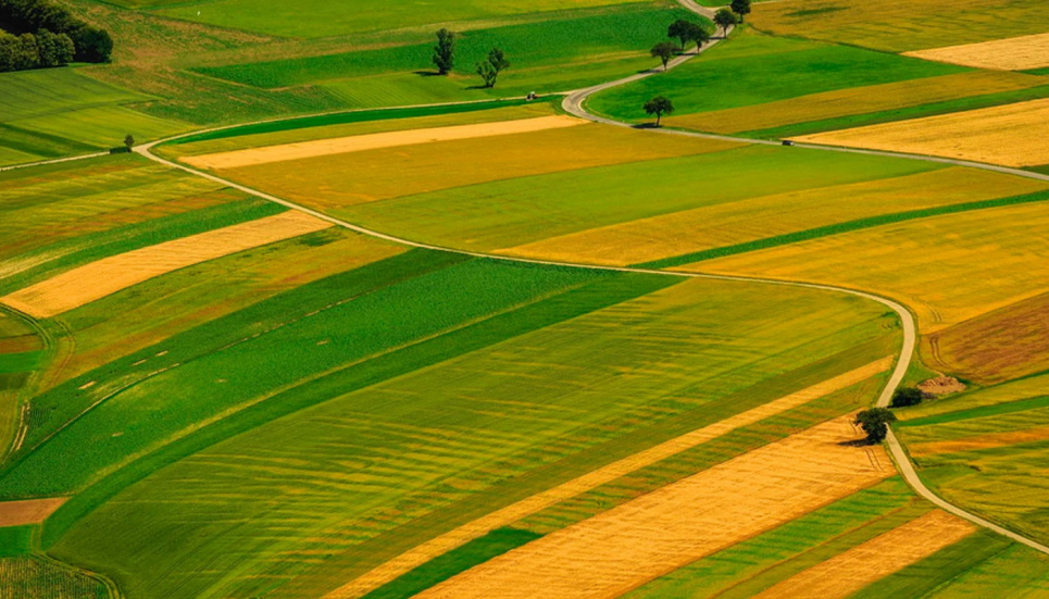 ФОТО: земельні наділи / agropolit.com