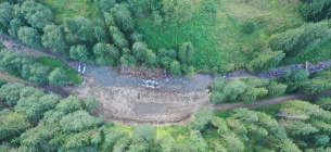 Будущее карпатских лесов: выборочные рубки и естественное восстановление вместо традиционных лесосек