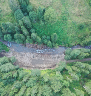 Будущее карпатских лесов: выборочные рубки и естественное восстановление вместо традиционных лесосек