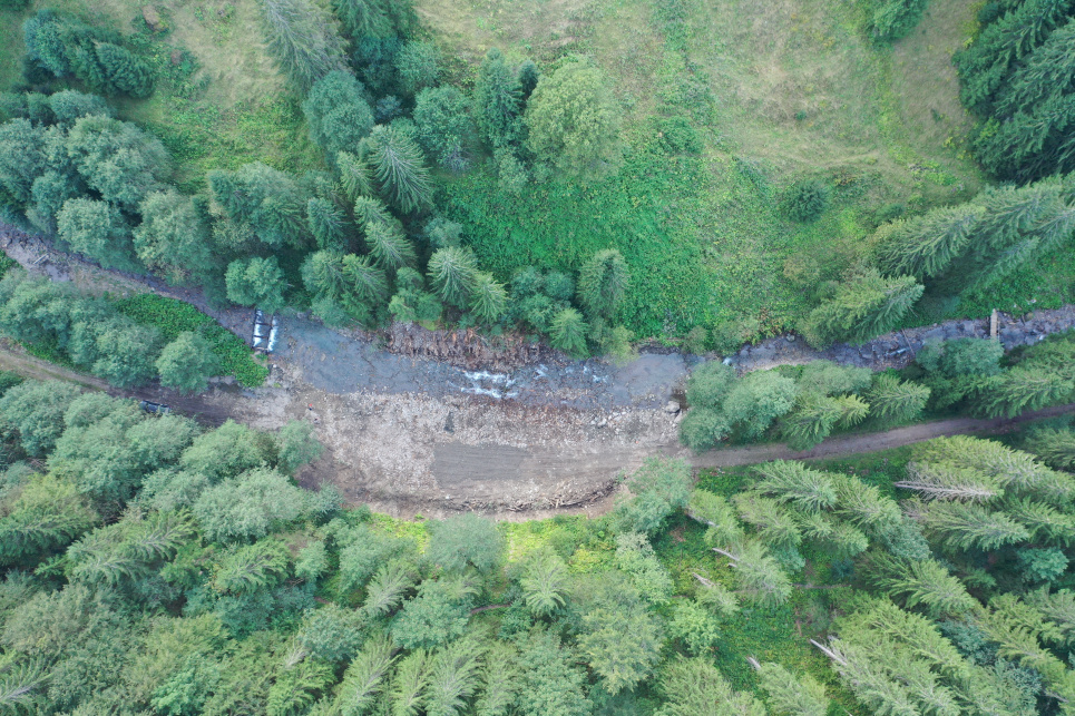 Будущее карпатских лесов: выборочные рубки и естественное восстановление вместо традиционных лесосек