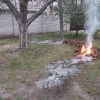 Не паліть суху траву: чому осінні вогнища завдають шкоди здоров'ю, природі та вашому гаманцю Штрафи та шкода: чому не можна спалювати суху рослинність