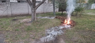 ФОТО: За сжигание сухих листьев предусмотрены штрафы / zp.gov.ua