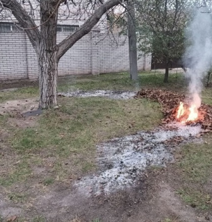 Не паліть суху траву: чому осінні вогнища завдають шкоди здоров'ю, природі та вашому гаманцю Штрафи та шкода: чому не можна спалювати суху рослинність