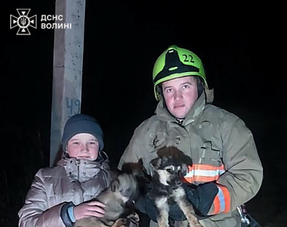 На Волині рятувальники дістали з криниці цуценят Рятувальники дістали з криниці цуценят