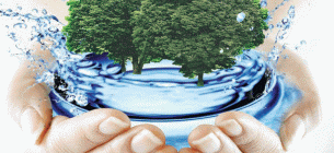 В Украине заработал Офис зеленого перехода ФОТО: иллюстративное