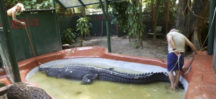 ФОТО: Найдовший морський крокодил Кассіус, що жив у неволі / Marineland Melanesia Crocodile Habitat