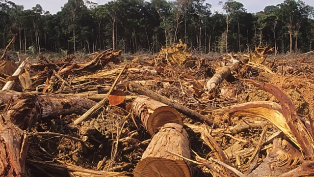 Битва за Карпати: Офіс Президента з п'ятої спроби зареєстрував петицію ветерана-еколога про захист високогір'я