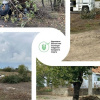 Стихійні звалища на Миколаївщині