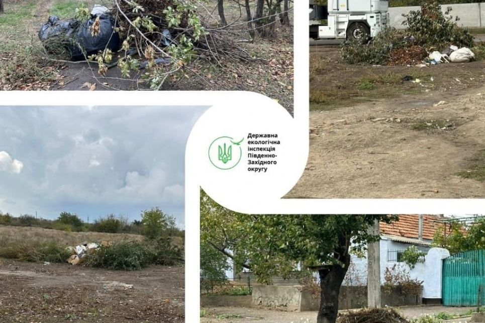 Сім несанкціонованих звалищ на Миколаївщині підлягають ліквідації- ДЕІ Стихійні звалища на Миколаївщині