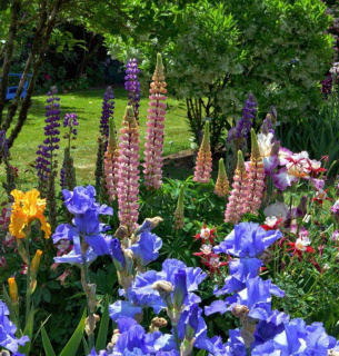 Фото: «Цікаві ідеї ландшафтного дизайну» 