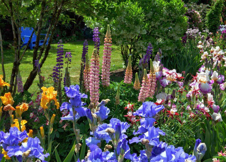 Фото: «Интересные идеи ландшафтного дизайна»