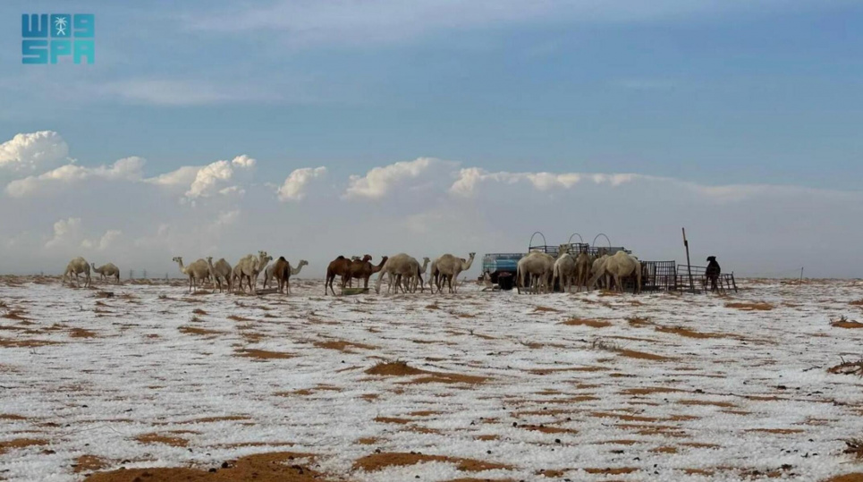 Пустелю в Саудівській Аравії засипало снігом — до цього були сильні дощі та град (ФОТО) Фото: SPA