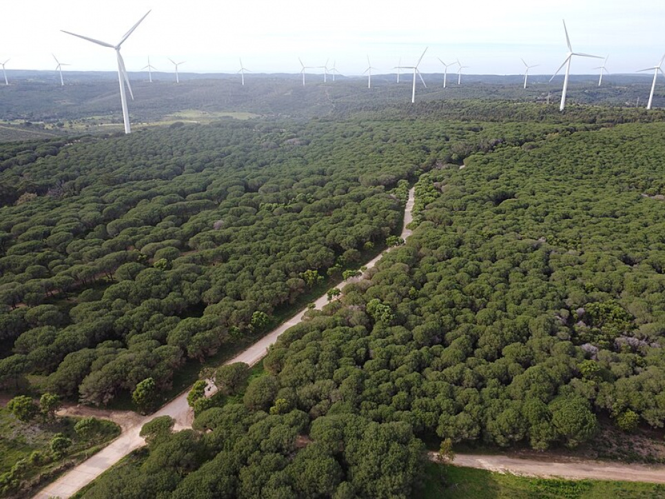 Бизнес представил проекты декарбонизации в рамках Climate Ambition Accelerator ФОТО: Декарбонизация, переход к использованию "зеленой" энергии / Википедия