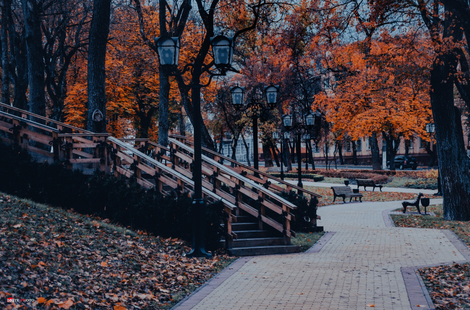Короткочасне потепління з приморозками вночі: чи чекати снігу? ФОТО: Погода в листопаді Ї newch.tv