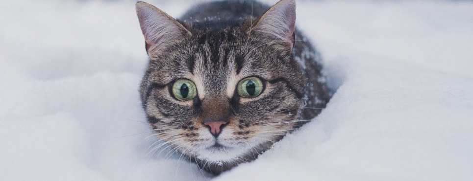 ФОТО: иллюстративное / Depositphotos