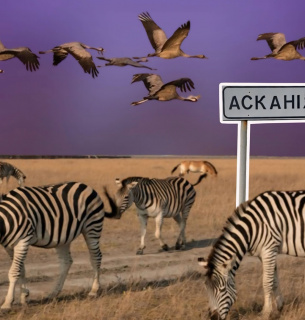 ФОТО: Біосферний заповідник "Асканія-Нова" / most.ks.ua