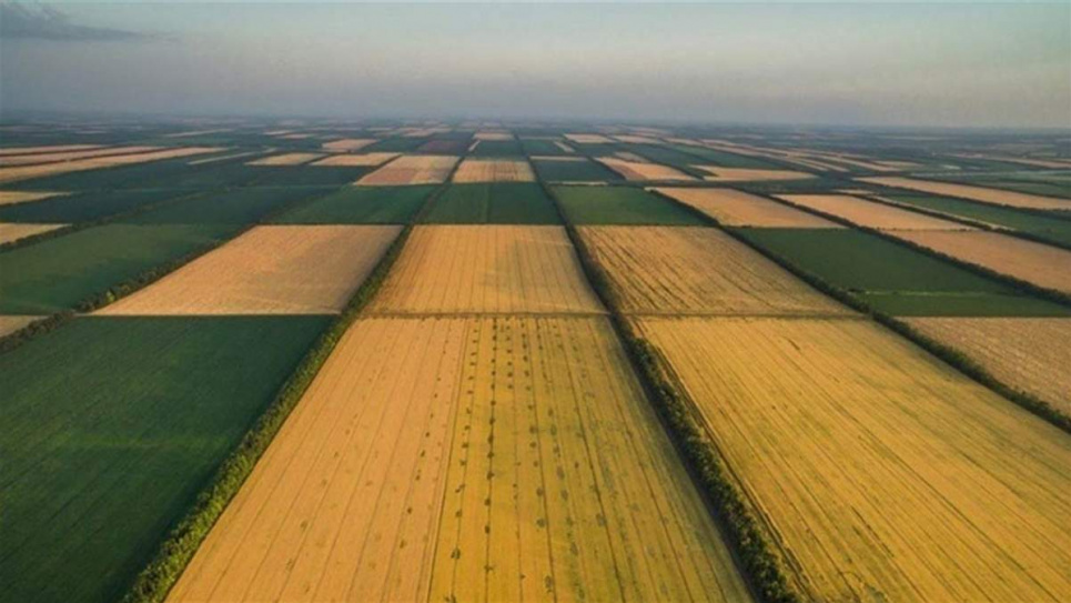 ФДМУ за тиждень провів 25 земельних аукціонів на 27,4 млн грн ФОТО: ілюстративне