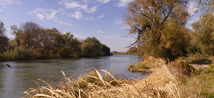 Правительство утвердило порядок осуществления мониторинга биологического и ландшафтного разнообразия ФОТО: Нижнеднестровский национальный парк / Минсреды