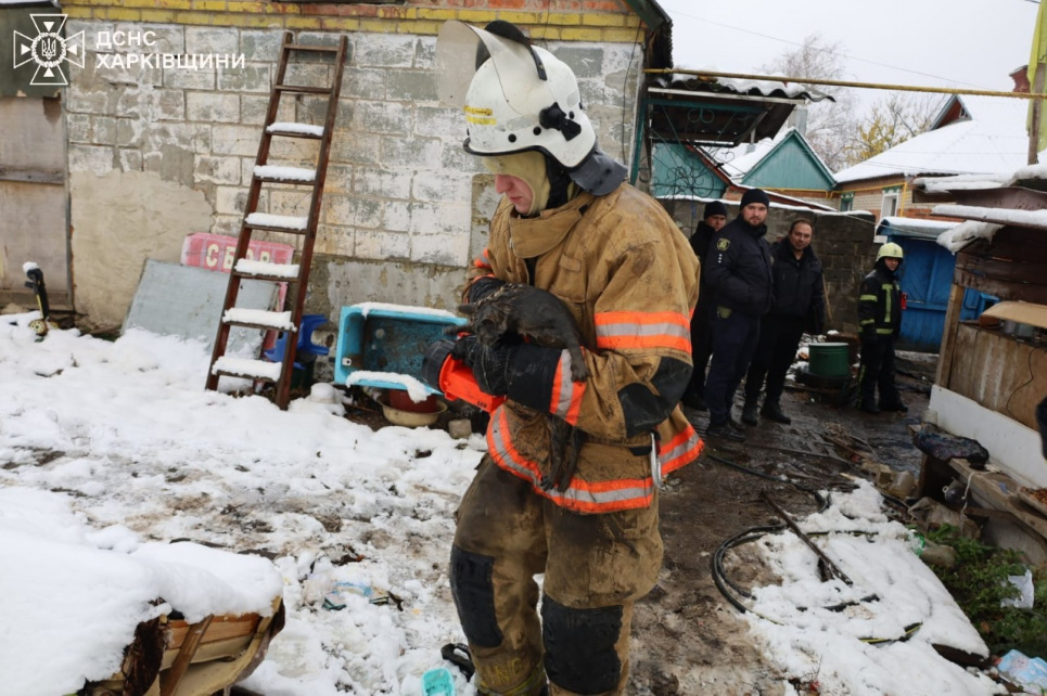 ФОТО: Наслідки пожежі у селищі на Харківщині / ГУ ДСНС у Харківській області