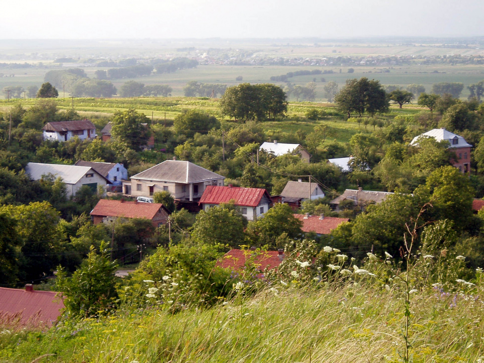 ФОТО: українське село / wikimedia.org