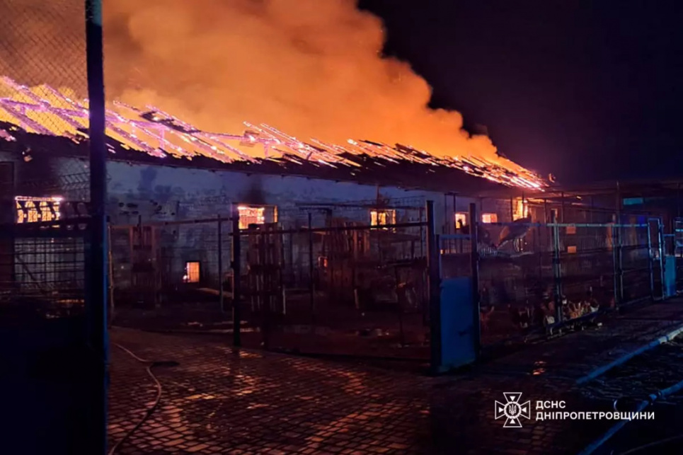 ФОТО: Пожежа на конефермі на Дніпропетровщині / ДСНС