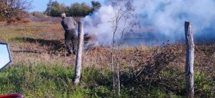 На Миколаївщині за спалювання сухої трави порушника притягнуто до відповідоальності