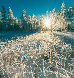 ФОТО: ілюстративне