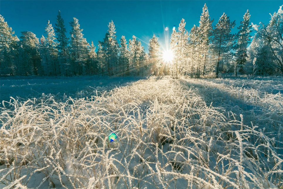 ФОТО: ілюстративне